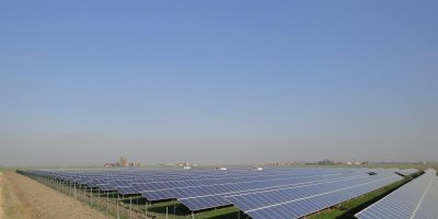 solea_medicina_fertig