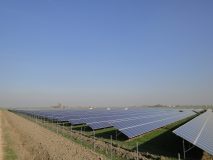 solea_medicina_fertig_en